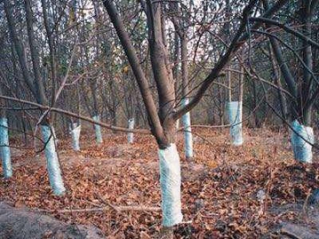 Agricultural Pest Control Plastic Film