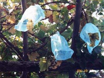Agricultural Pest Control Plastic Film