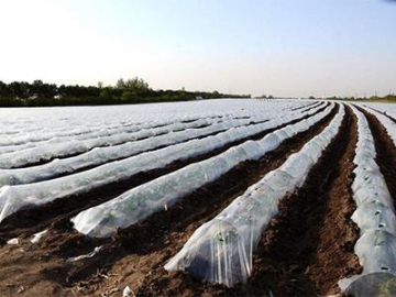Agricultural Pest Control Plastic Film