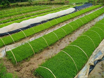 Weed Control Mulching Plastic Film