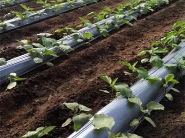 Weed Control Mulching Plastic Film