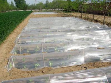 Agricultural Plastic Mulch Film