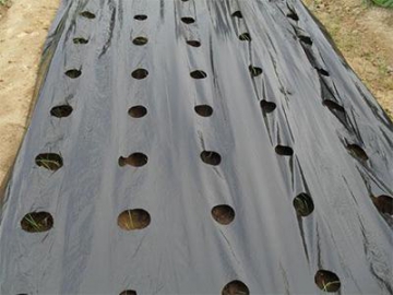 Perforated Agricultural Mulch Film