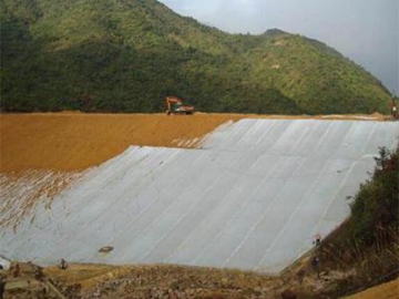 Polyethylene Mulch Film Roll