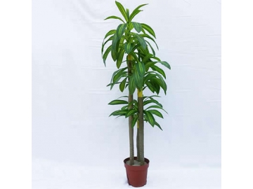 Artificial Plant and Bonsai Tree