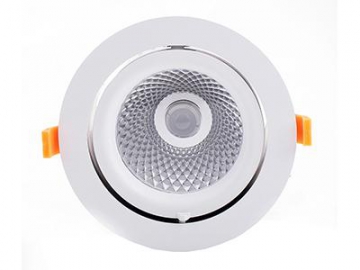 H Series LED Downlight, LED Gimbal Downlight