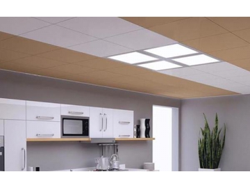 UGR<19 Anti-Glare and 90LM/W LED Panel Light Indoor Lighting