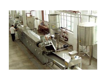 Potato Chips, French Fries Processing Line