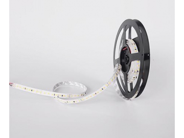 D9128 24V 10mm  Commercial LED Strip Light