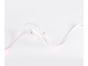 D560RGBLWW 24V 12mm Dimmable Flexible LED Strip Light