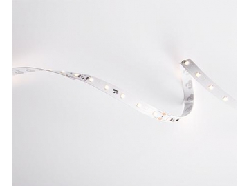 DS860 24V 10mm  Ceiling LED Light Strip