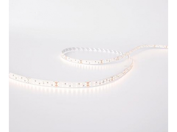 D6280 24V 10mm  Indoor Lighting LED Strip Light