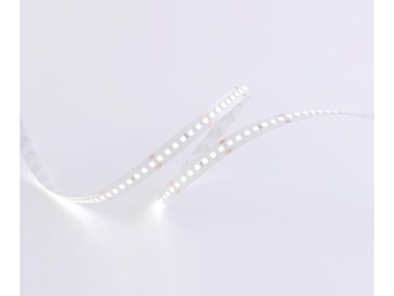 D8168 24V 10mm  Flexible Indoor LED Strip Light