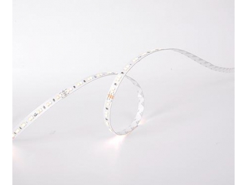 D8140SWW 24V 10mm  Dimmable Color Changing LED Strip Light