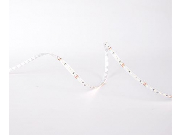 D6240SWW 24V 8mm  Dimmable Color Changing LED Light Strip