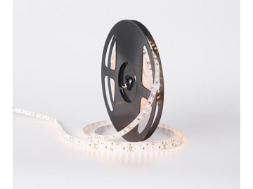 D6240SWW 24V 8mm  Dimmable Color Changing LED Light Strip