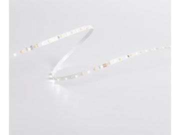 D6140SWW 24V 4mm  Color Changing Dimmable LED Strip Light