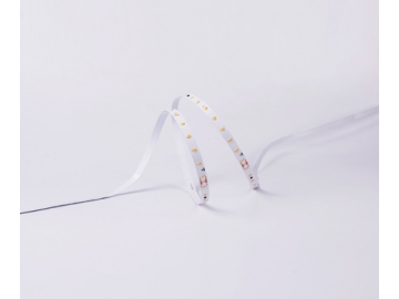 DS860 24V 10mm  Outdoor LED Light Strip 4.3W