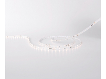DS860 24V 10mm  Outdoor LED Light Strip 4.3W