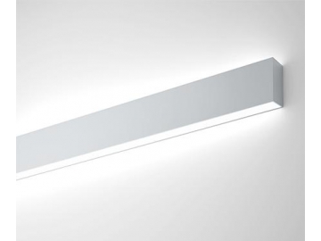 LC12843  Linear Wall Light Fixture