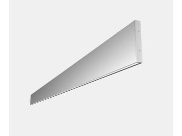 LC7011  Wall Light Fixture