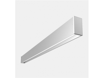 LS50FDG  LED Strip Light Fixture