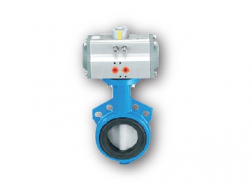 Pneumatic Valve Actuator