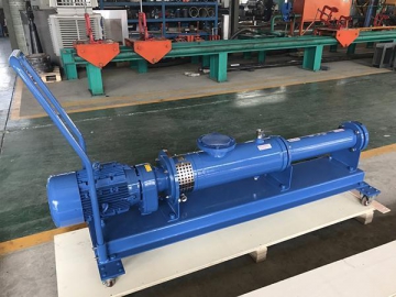 Trolley Progressive Cavity Pump