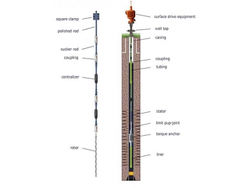 Downhole Progressive Cavity Pump