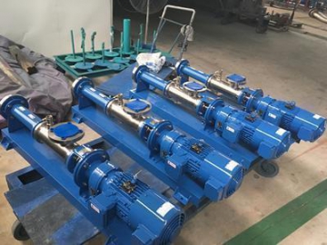 Progressive Cavity Pump in Chemical and Mining Slurry Pumping