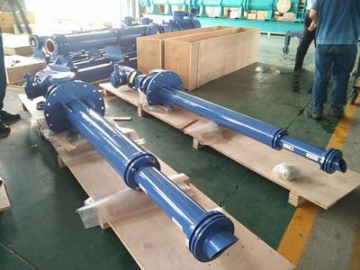 Progressive Cavity Pump in Oil Pumping