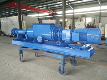 Progressive Cavity Pump in Sewage and Sludge Pumping