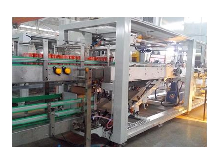 YCBS60ZT Tray and Film Shrink Wrapper Packing Machine