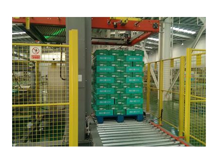 Gantry Palletizing System