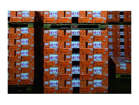 Gantry Palletizing System