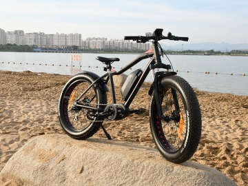 TG-S001 Fat Tire Electric Bike