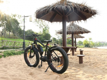 TG-S001 Fat Tire Electric Bike