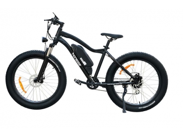 TG-S004 Fat Tire Electric Bike