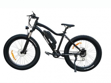 Fat Electric Bike