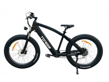 TG-S005 Fat Tire Electric Bike