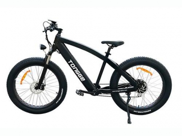 Fat Electric Bike