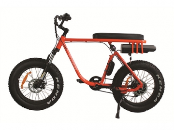 Fat Electric Bike
