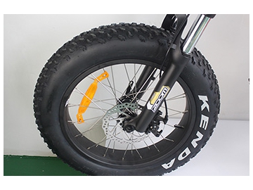 TG-S006 Electric Fat Tyre Bike