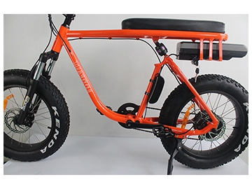 TG-S006 Electric Fat Tyre Bike