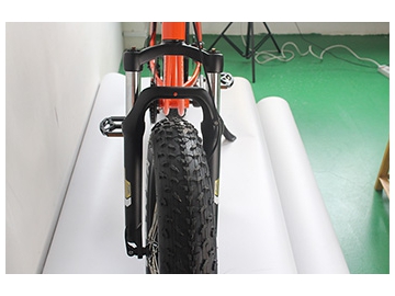 TG-S006 Electric Fat Tyre Bike