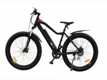 Electric Mountain Bike