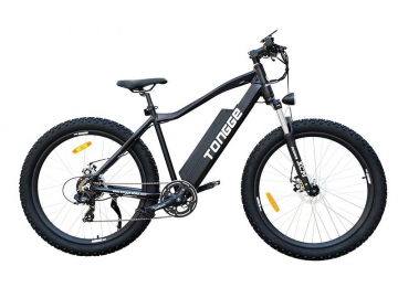 TG-M002 Electric Mountain Bike