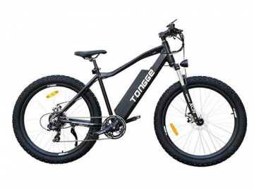 Electric Mountain Bike