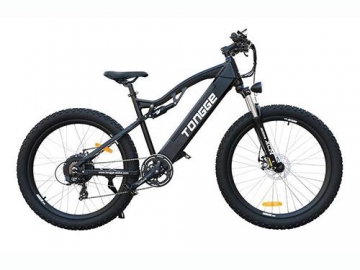 Electric Mountain Bike