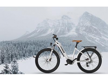 TG-M007 Electric Mountain Bike